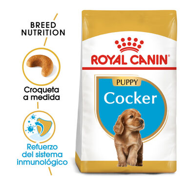 Royal Canin Puppy Cocker ração para cães